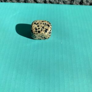 Dalmatian Jasper Stone